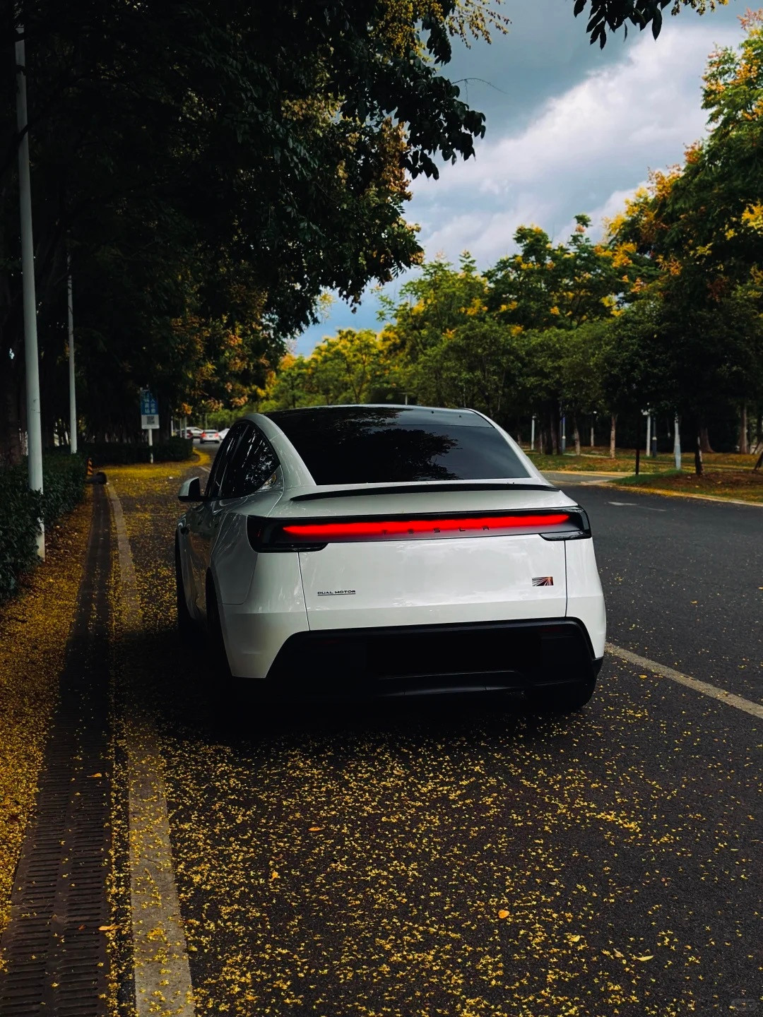 当特斯拉遇上秋天，虽然我一直喜欢黑色，但不得不承认，焕新Y白色好像比黑色更好看。