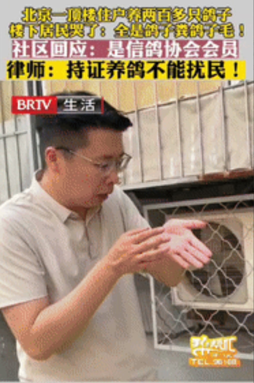 “太缺德了”北京一男子花235万元买套房子，结果楼上邻居养了200多只鸽子，他忍