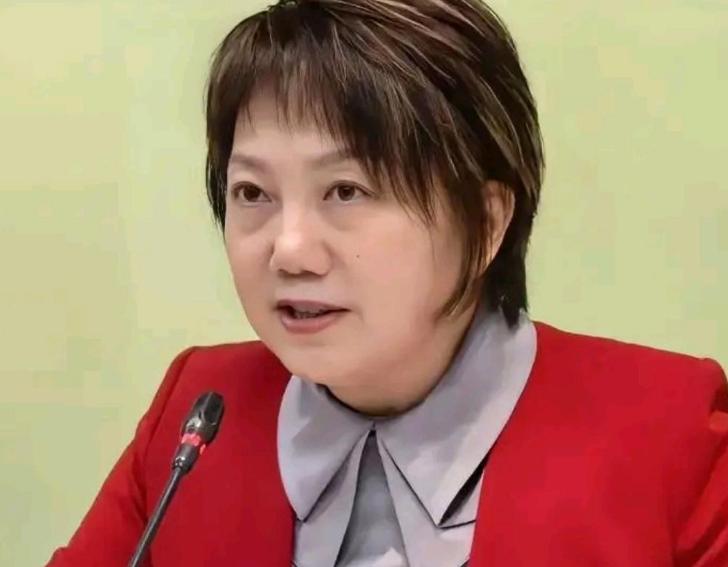 国民党向“台湾民主基金会”申请经费访陆民进党：连韩国瑜也认为要检讨。“台湾民主