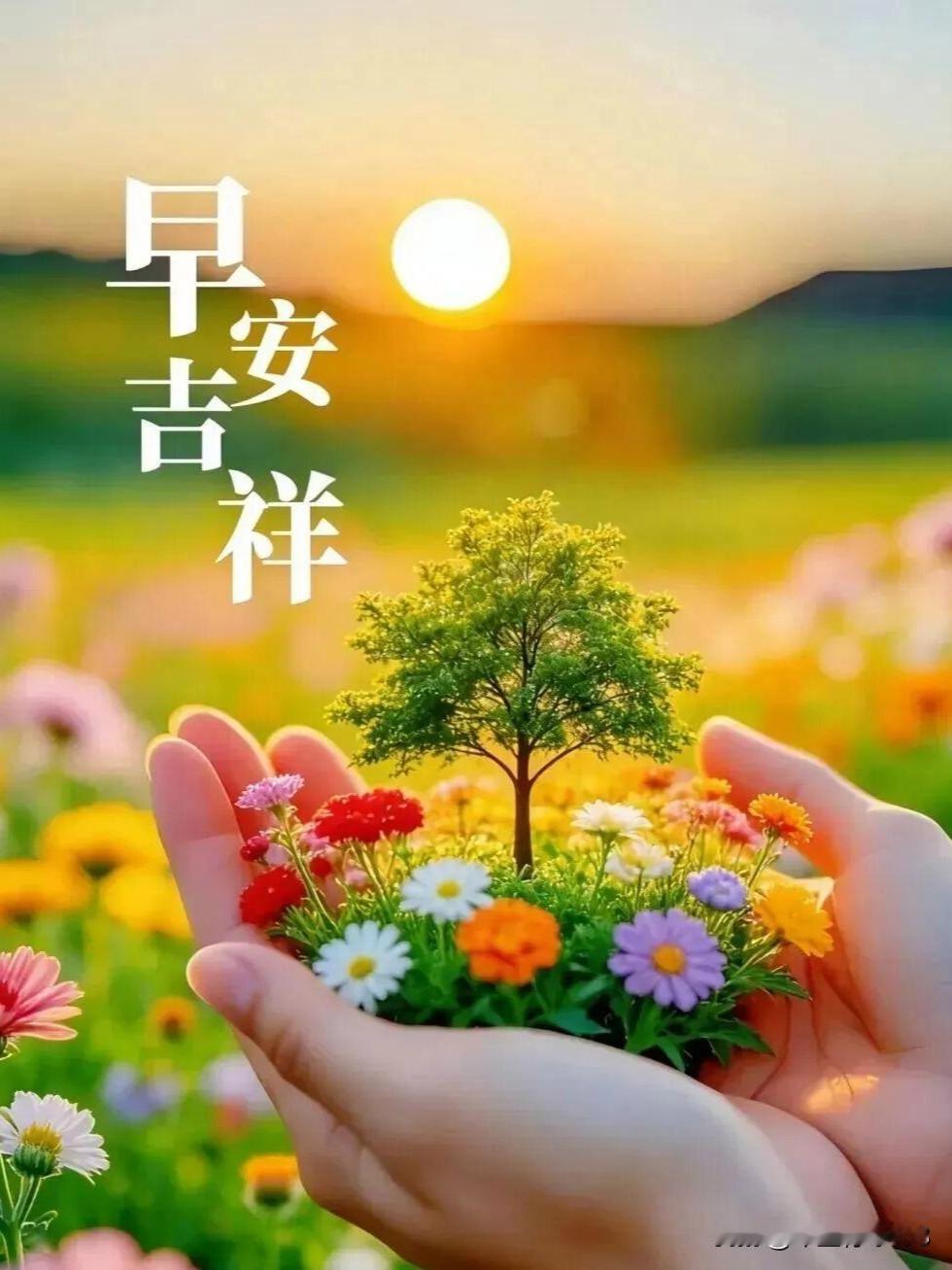 🌺祝福大家周三快乐🌺新的一天，愿你迎着阳光前行，向着温暖奔赴。不被往事牵绊