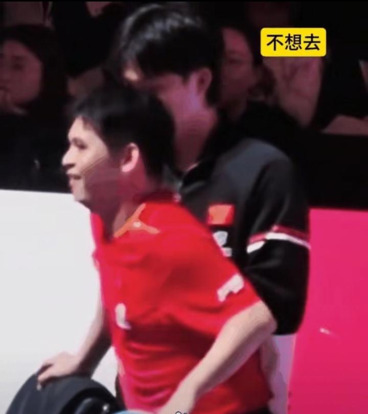 王楚钦太“霸道”了，他让小石头坐前排，小石头不想去，王楚钦直接把他拽过去了，说第