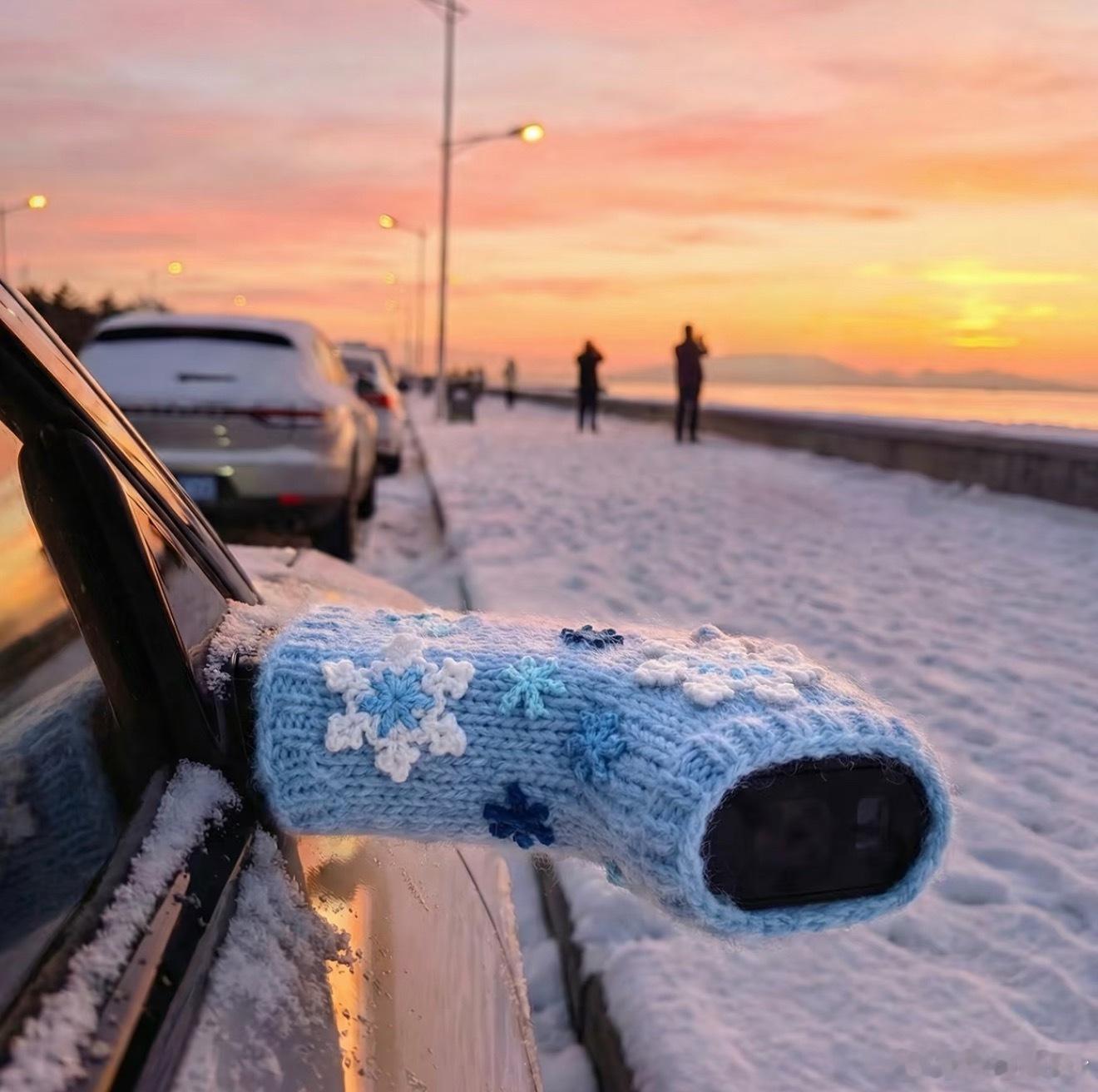 这是怕给电子后视镜冻坏了也穿上了小毛衣