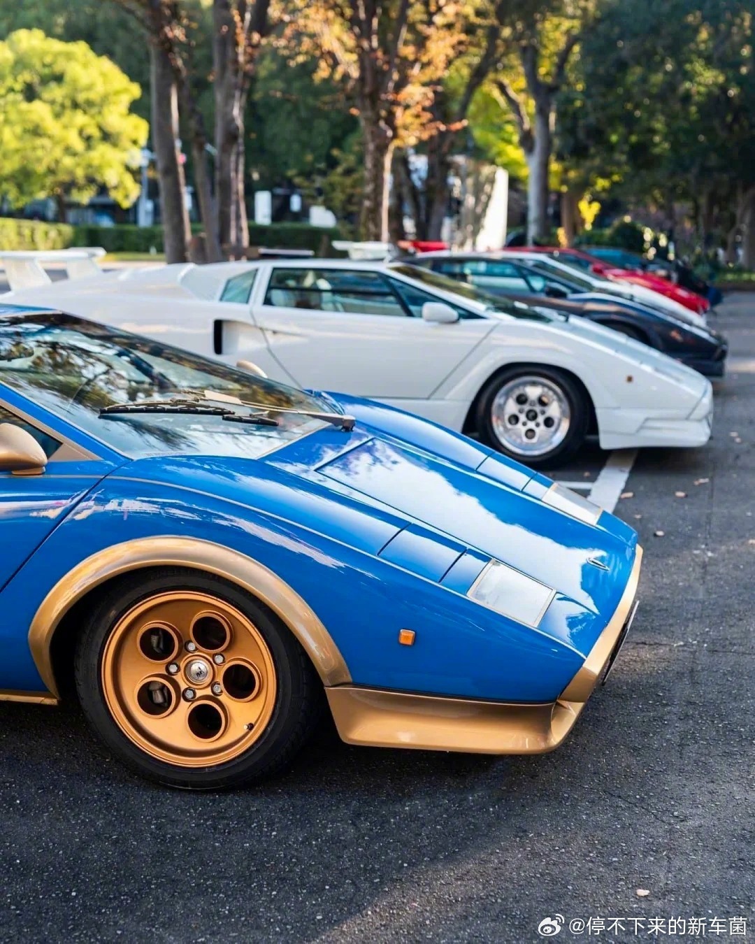 这台蓝金配色的康塔什，太有个性啦