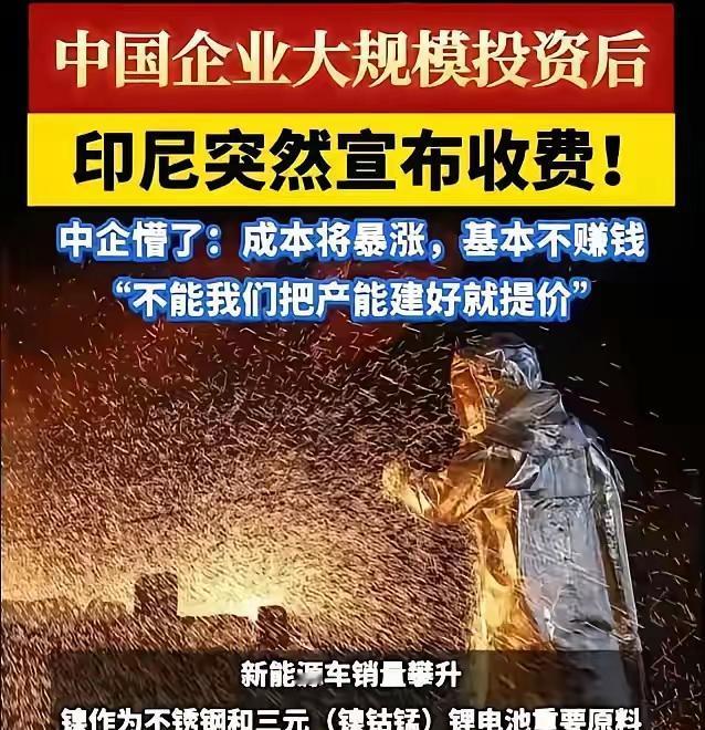 中国花140亿美元帮印尼建成全球镍都，印尼反手涨价，第二天跟日本签了军火协议。