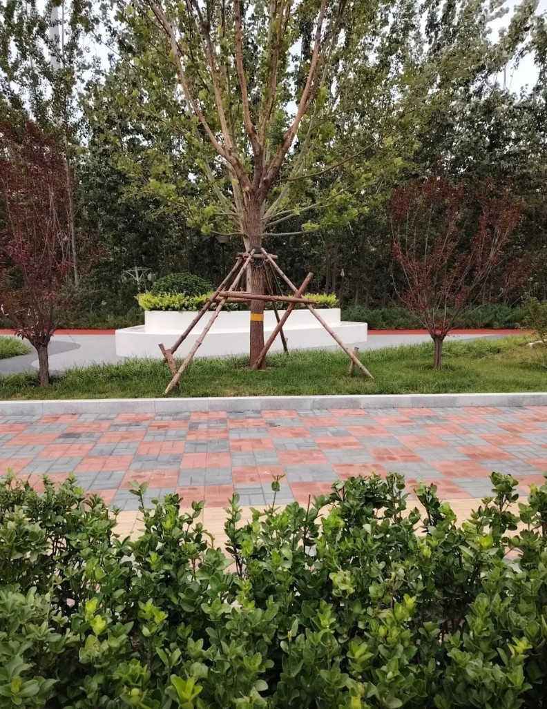 近几日，天津市豁出去了，为了迎接上合组织峰会，天津市政府“斥巨资”把天津市容彻底
