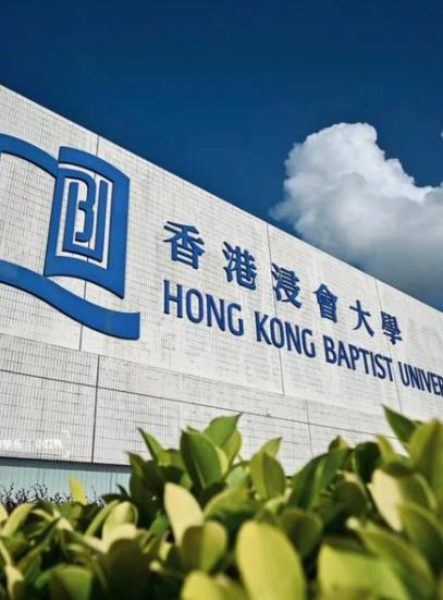 给香港浸会大学点赞！！！杨景媛的名字从博士生名单里消失了。香港浸会大学的