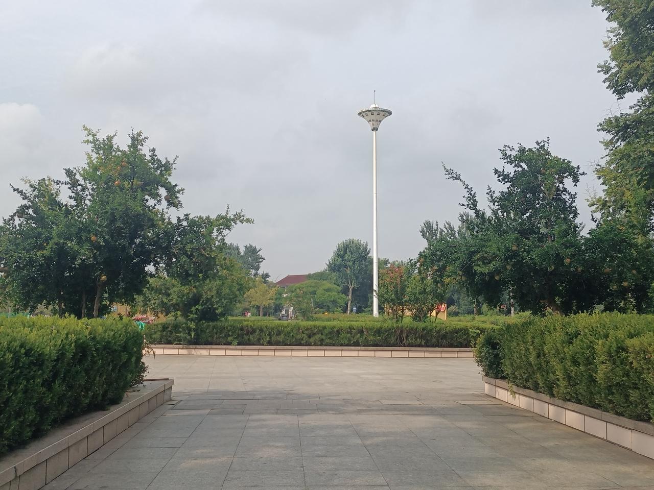 秋天，是收获满满的季节，水上公园的各种果树挂满了即将收获的果子…（图片来源：老