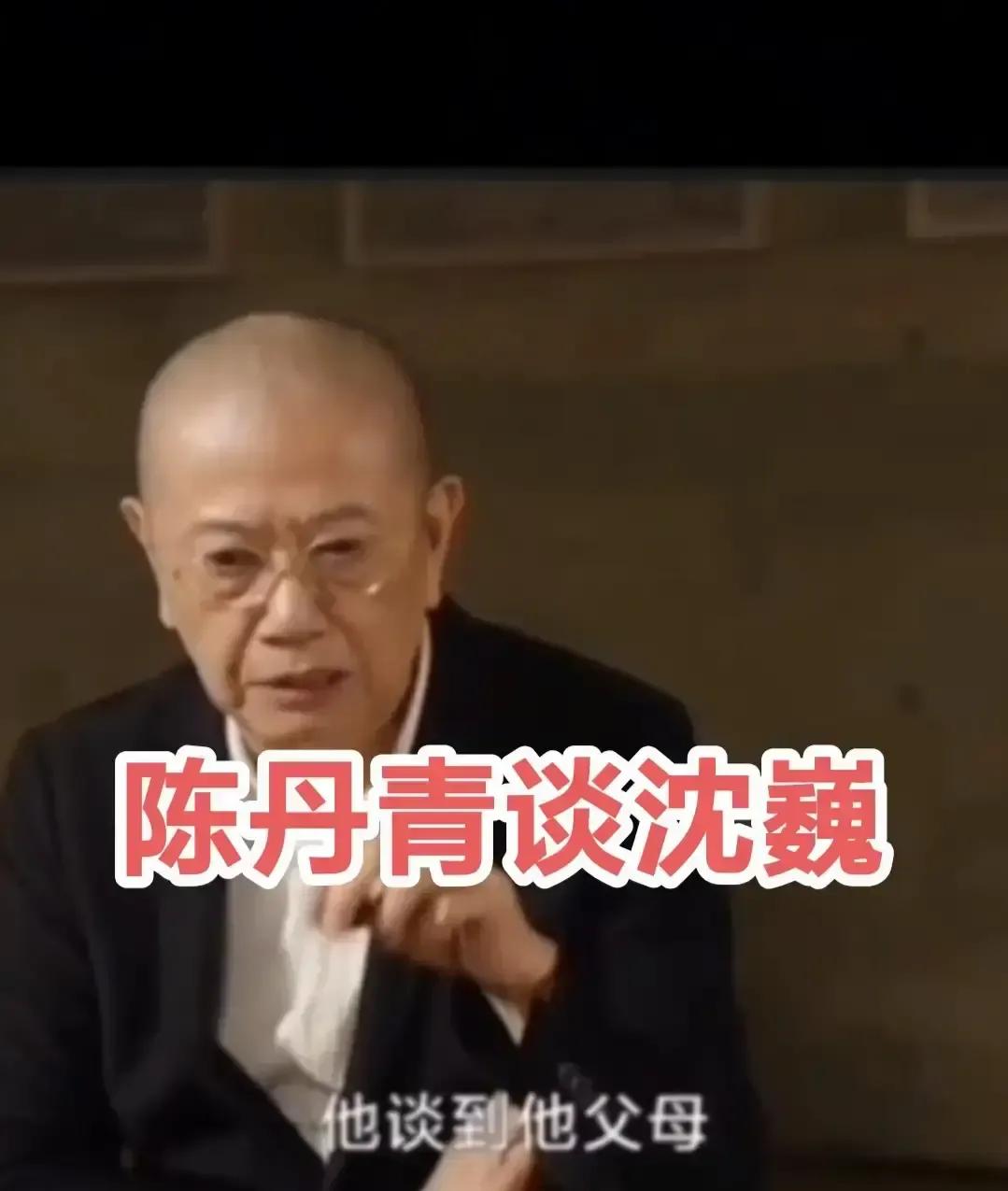 陈丹青在节目里聊到沈巍那句“我原谅不了父母”，直接说自己懂那种被家庭羞辱一辈子的