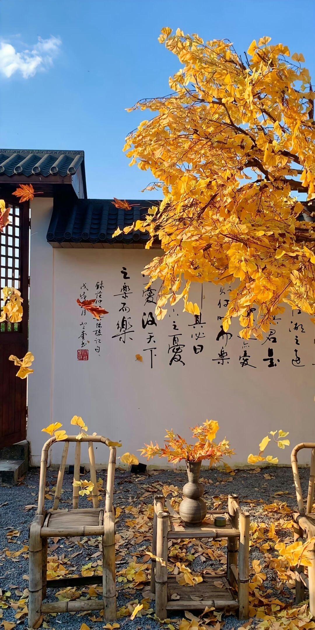 新壁纸～