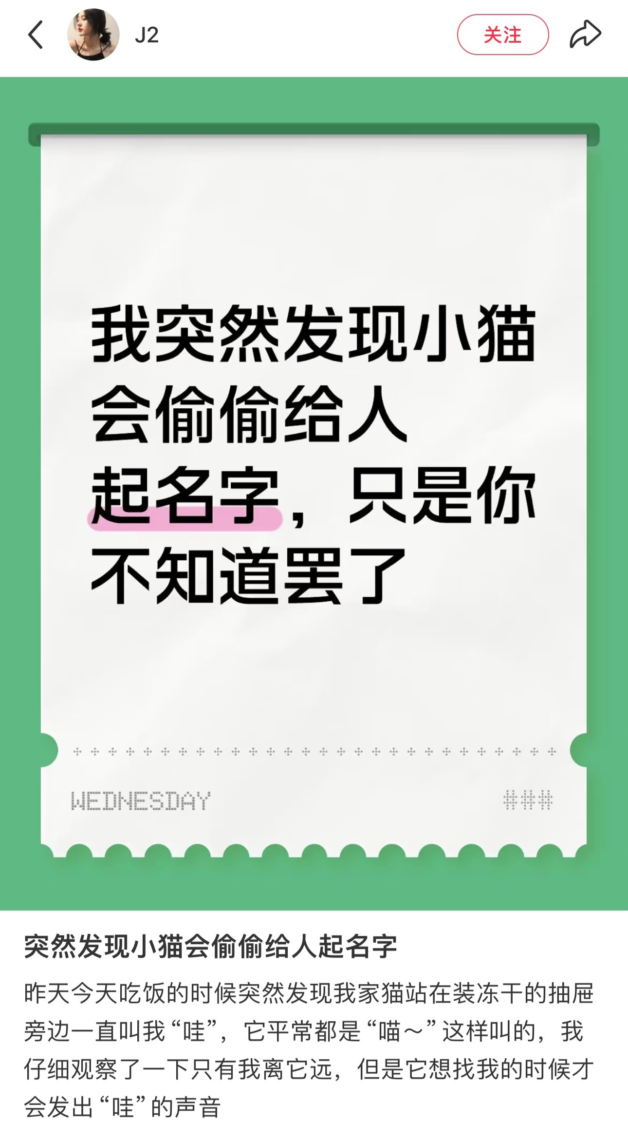 原来小猫也会给人起名字！​​​
