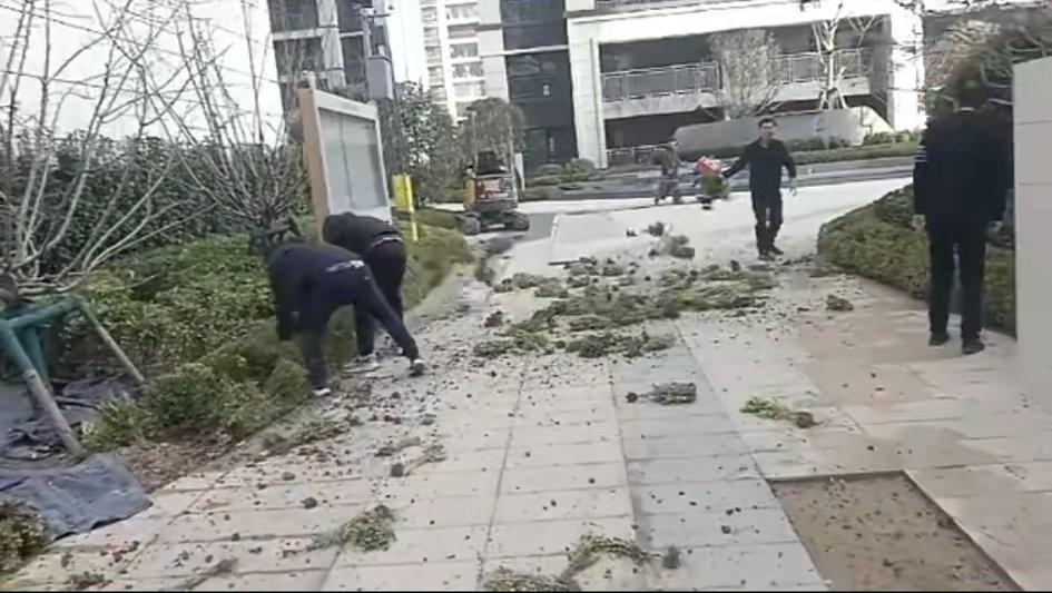 陕西，网友发视频并吐槽:有谁知道苗木人的心酸……视频中，几名中年男子正气愤的把