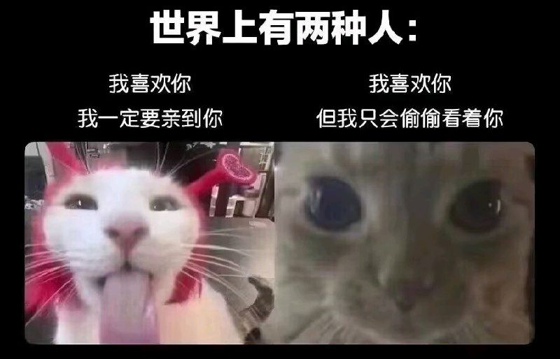 你是哪种人
