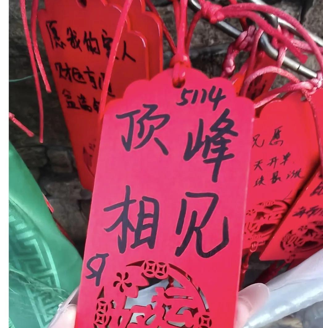 有没有被网友们感动啊。有人在不同的景区的祈福点发现为豆包和头哥祈福的挂件。粉