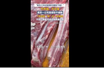 不养猪也能吃上真猪肉！背后原理终于曝光。不养猪、不杀猪，没有猪圈，却能端上一