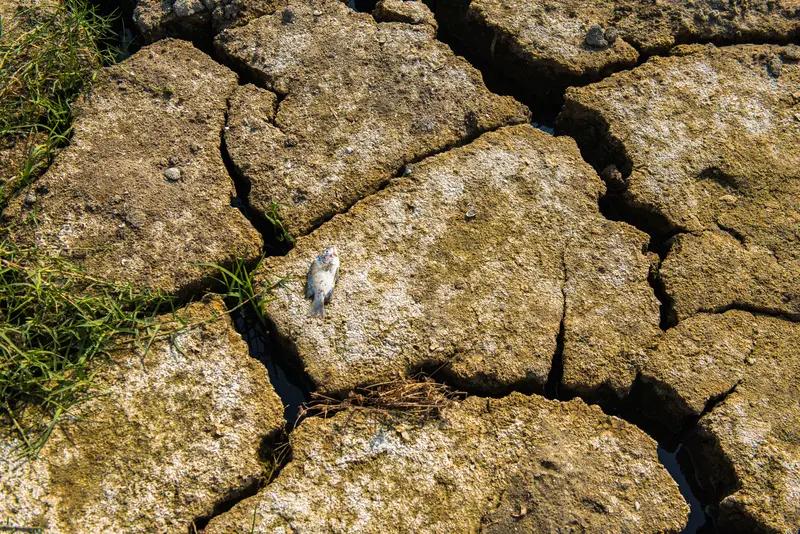 今天,我的心沉了下去,地球气候面临前所未有转折!【紧急警报!2050年气候