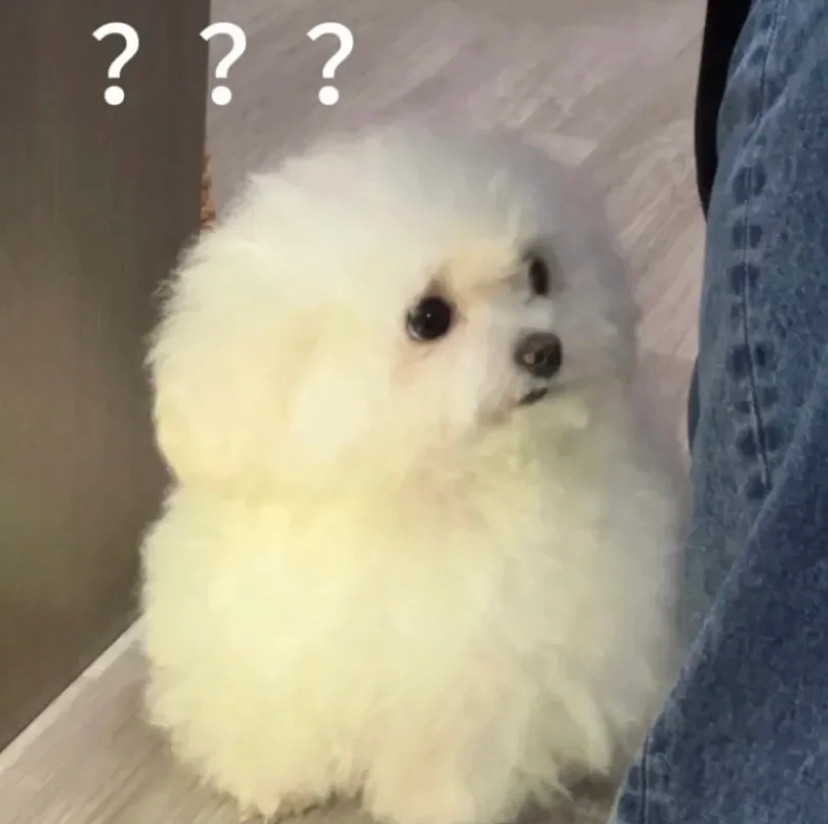 张睿李若嘉在一起十年了为啥在一起十年了还不结婚？你说年龄小可以理解，但快40了啊