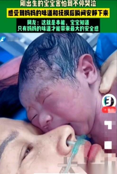 山东一家医院的产房里，出了件怪事。一个刚落地的娃，哭得撕心裂肺，嗓子都哑了。几
