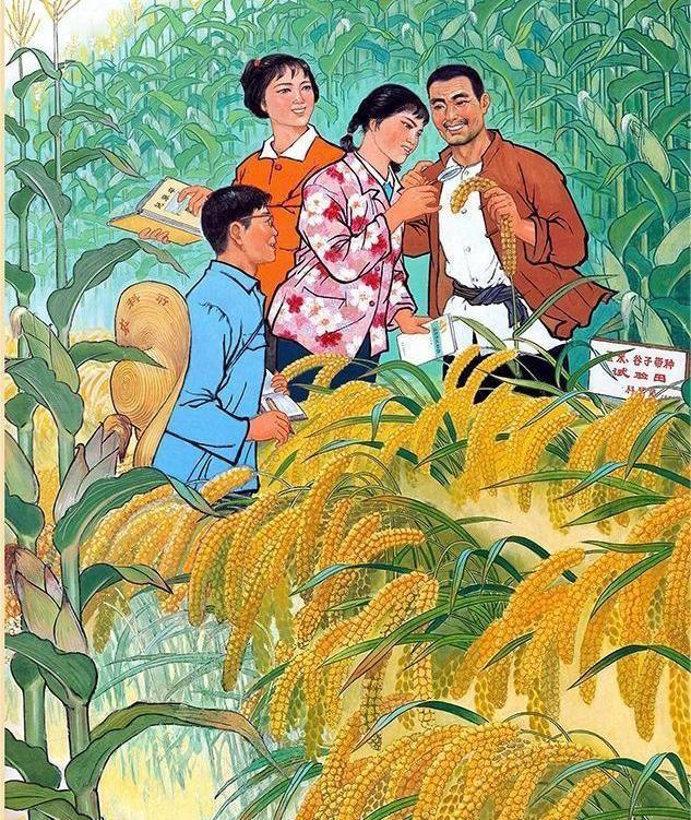 总有人争论“学大寨”和“学小岗”哪个对。这问题本身就问错了。这根本不是对