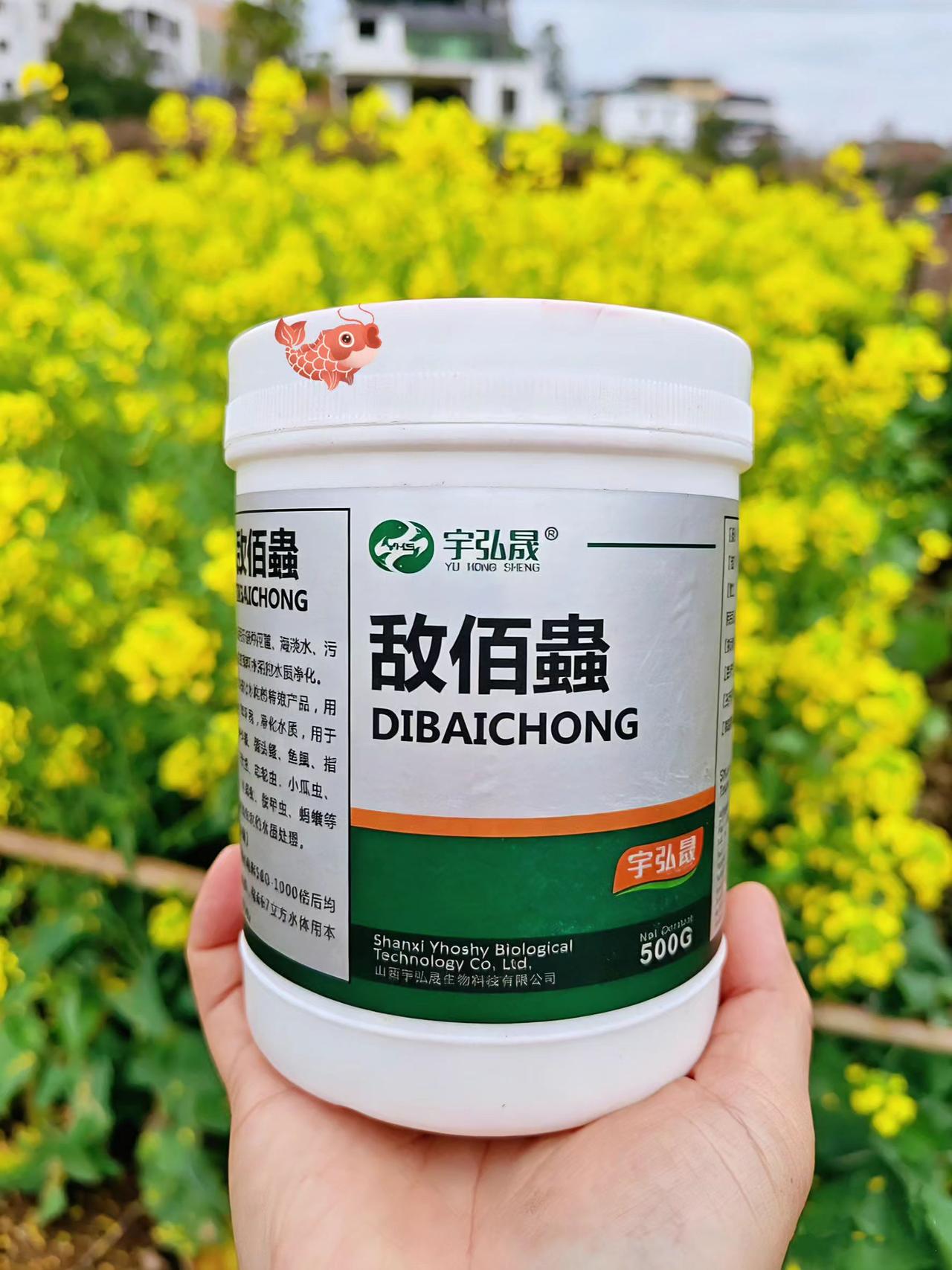敌佰蟲鱼塘养殖鲢鱼鲤鱼草鱼
