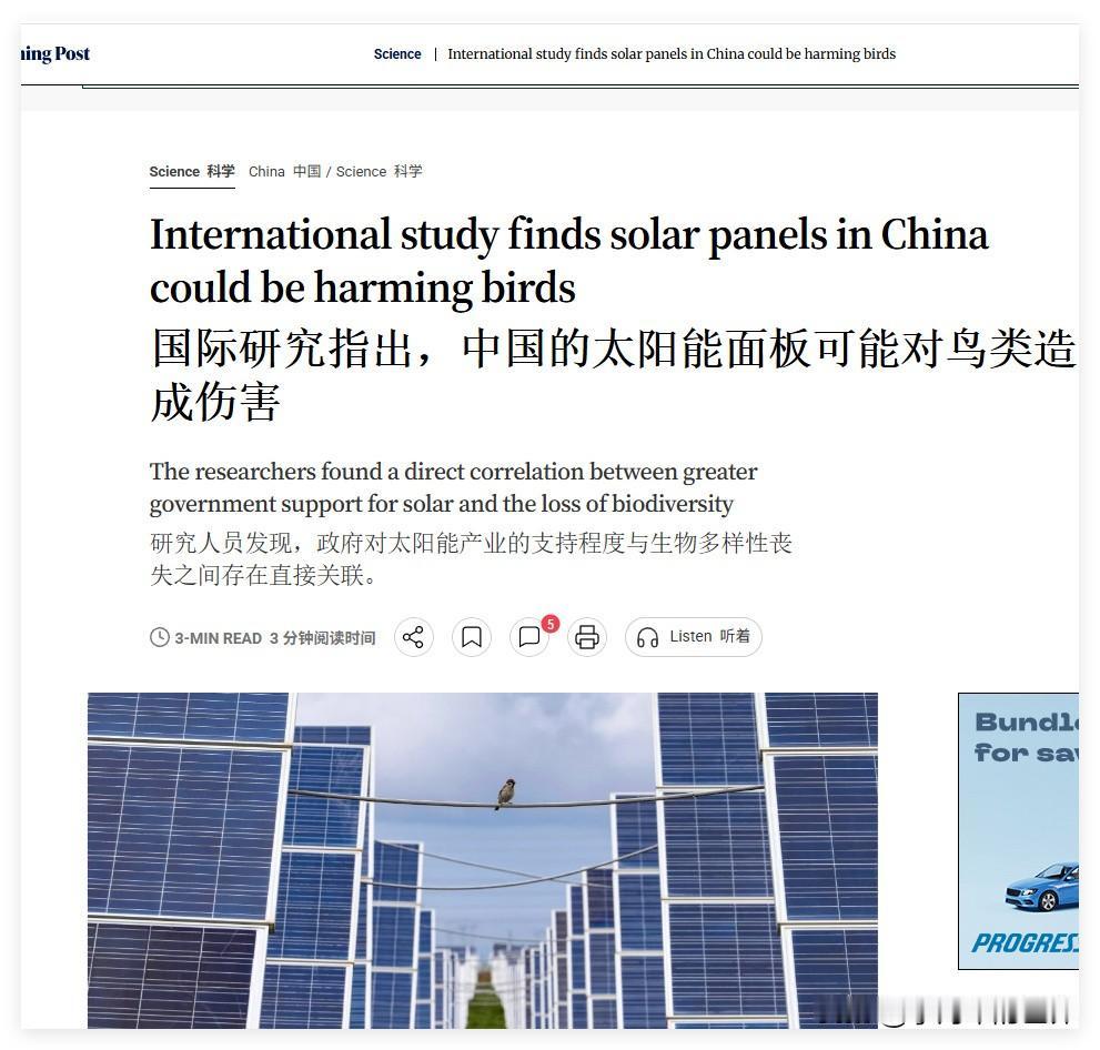 国际研究指出，中国的太阳能板可能对鸟类造成伤害。又在念经！如果念经有用，