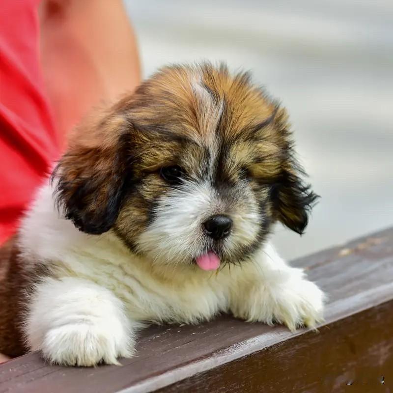 这10种人，才是你人脉里的硬通货1、当官的人，他能给你办事。2、有钱的人，他