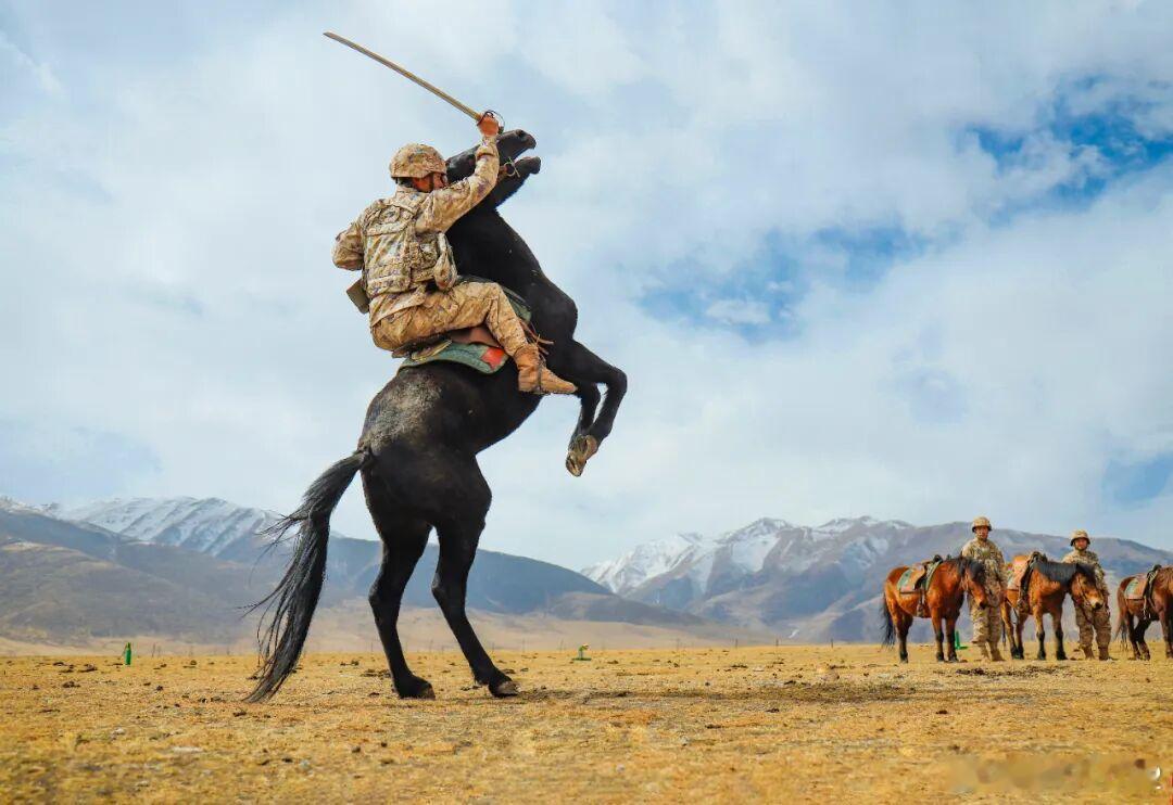 传马刀授战马76集某旅是我国陆军野战部队中唯一辖有独立骑兵营的部队。陆军老大哥烽