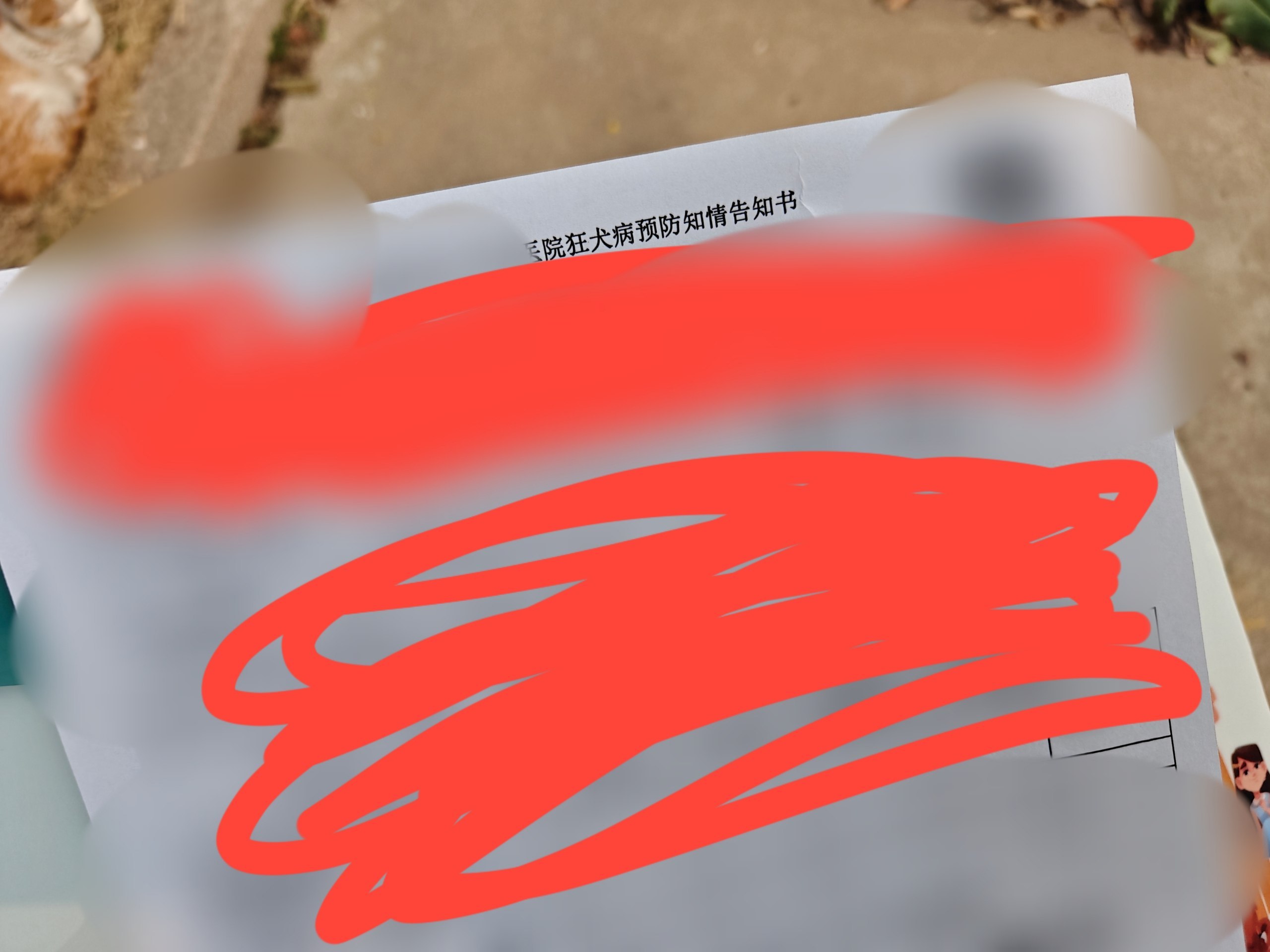 知道了说知道了