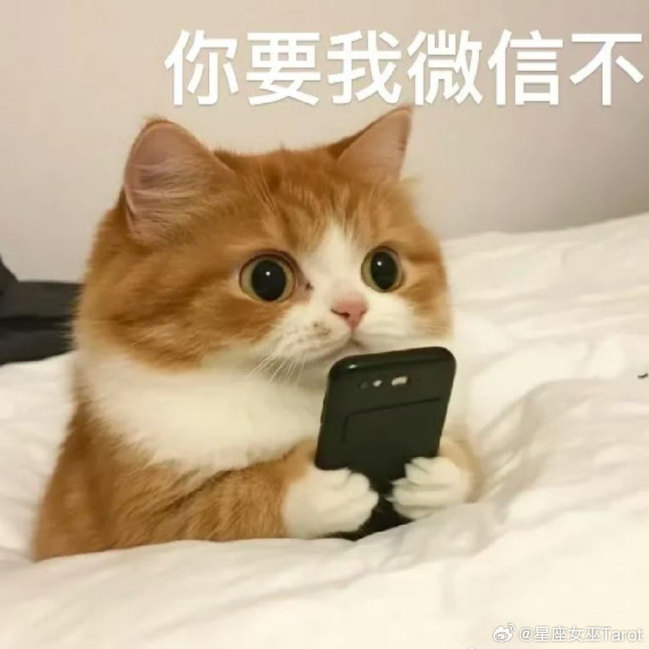 十二星座的社交风格白羊：见面就是兄弟，五分钟称兄道弟金牛：朋友不多，但每个都处了