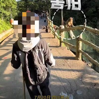 笑不活了！四川乐山，一游客游玩峨眉山景区时，为了防止当地猴子撒泼侵扰，竟直接手拿