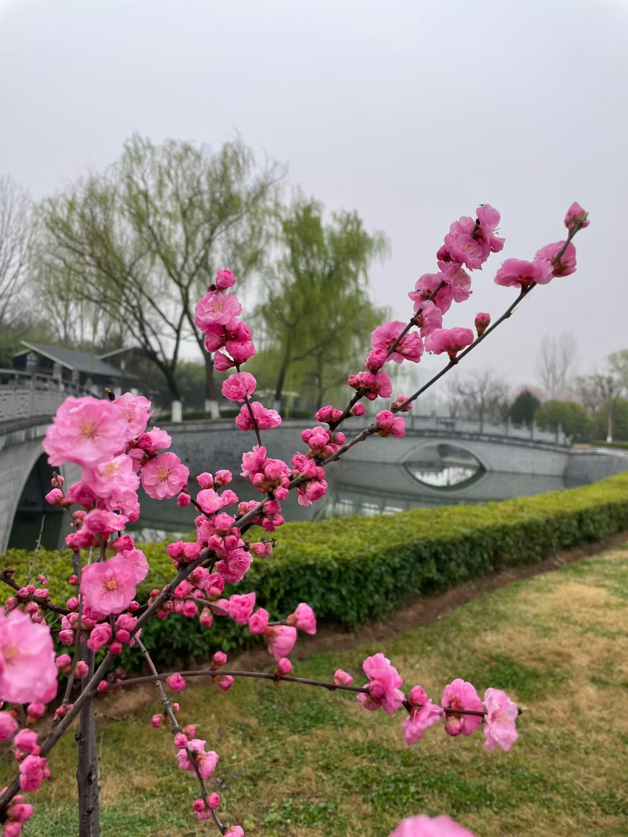 腐败校长真荒唐，护学岗上耍花样。本该教师守路旁，偏把家长来推上。护学责任全推