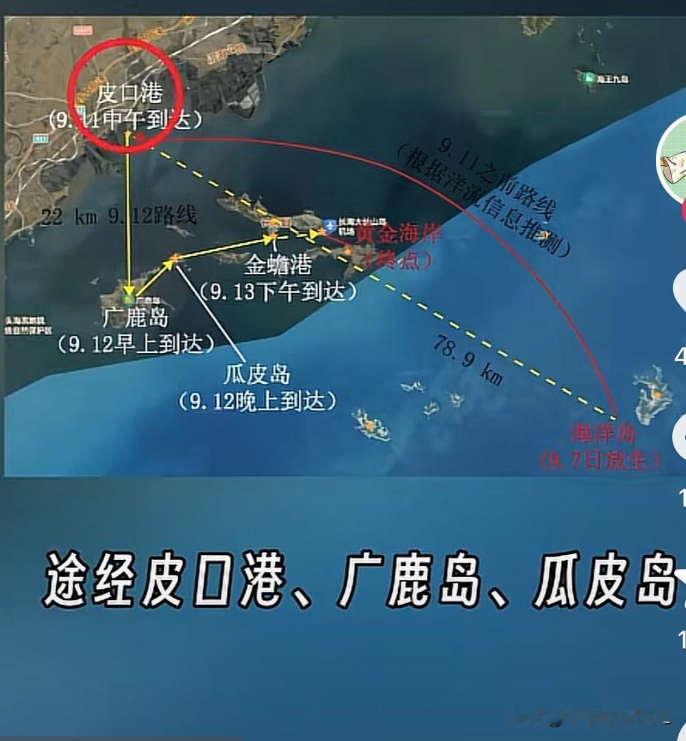 看了大连网红海豹娜娜的视频，我都哭了。大连网红海豹娜娜，真的太深情了谁能不