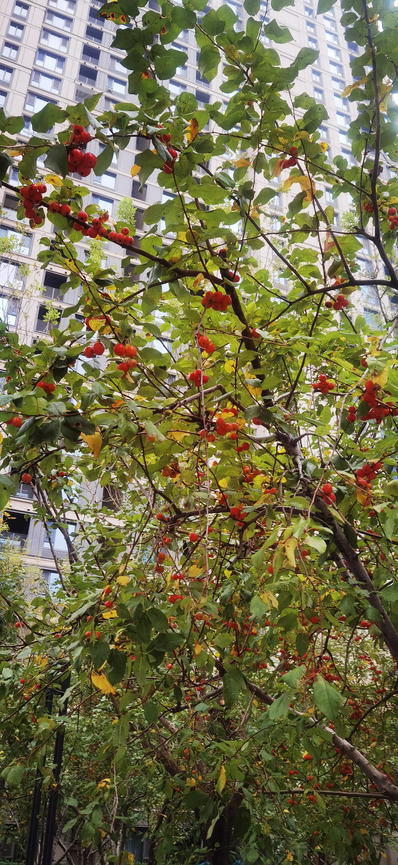 无题世上没有什么足够的突然，茗茗中都是必然，都是因果，种什么因，结什么果，每