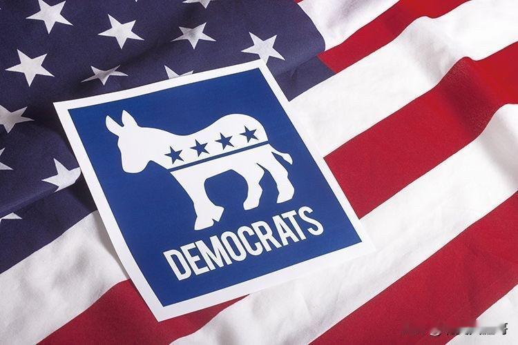 民主党资金告急要贷款集资了据该党官员和《纽约时报》审查的文件称，民主党