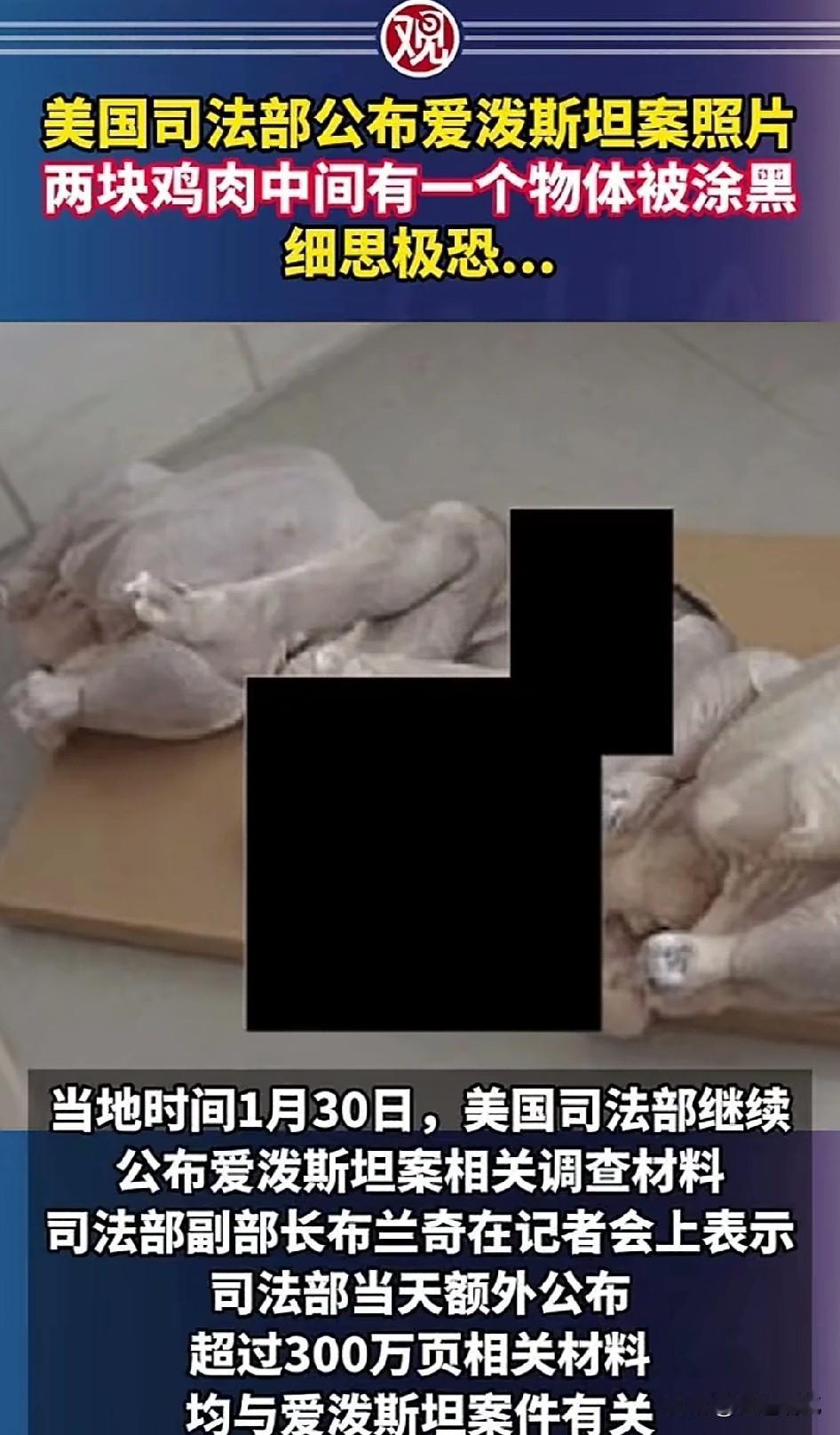 有网友说，这张图其实是2003年德国艺术家的作品，火鸡中间放的是人体模型，用来讽