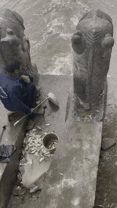 “飞升是陷阱”“不要飞升，仙人以我鱼族为食”