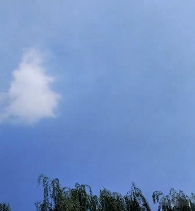 认同。村里有个老太太90多岁了，人老糊涂了，需要照顾。经常听人说老小孩，一点