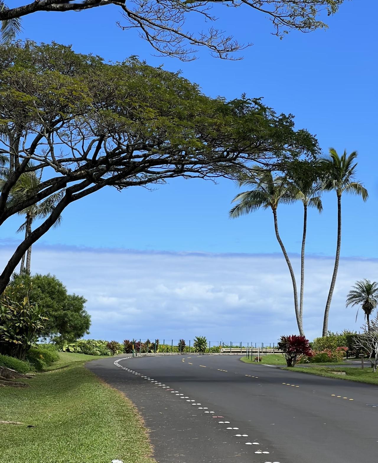 跑步是隔天好还是天天跑好，跑步十几年后，亲身体验让我懂得了跑休结合的重要性很多