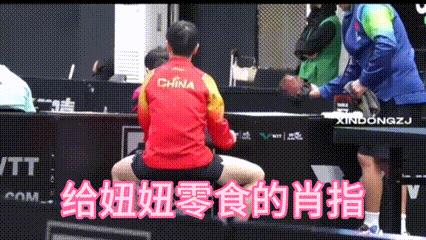 刷到肖指给莎莎和大头拿零食的视频其实外表粗犷的肖指内心细腻入微，他给莎莎拿零
