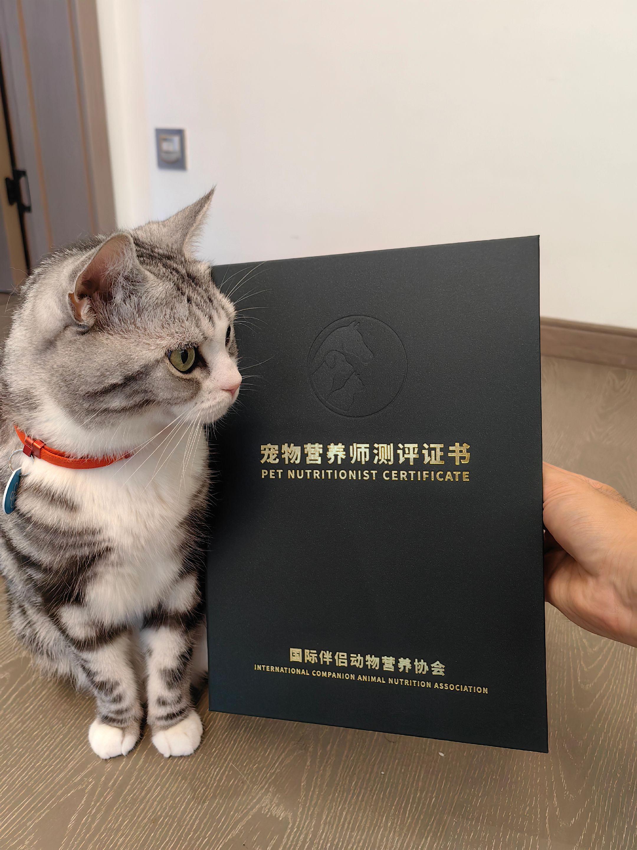 我的天好高级，证书看起来比我智商高。