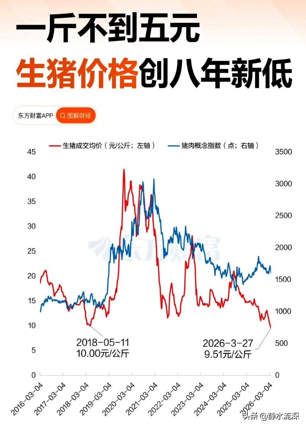 生猪价格跌破5元一斤，创近八年新低。全国成交均价跌到9.51元一公斤，养一头
