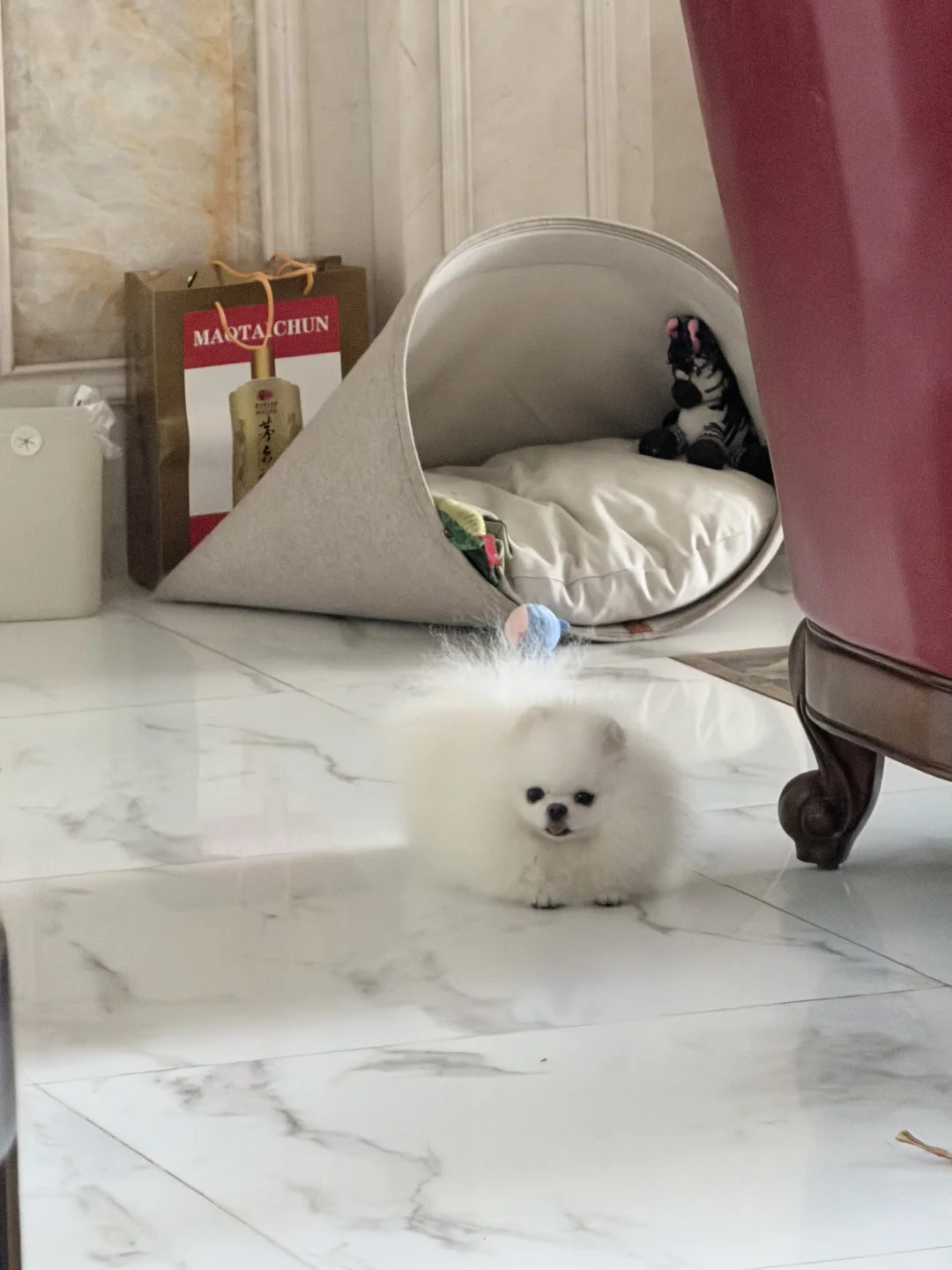 我就这样边孵蛋边看着你