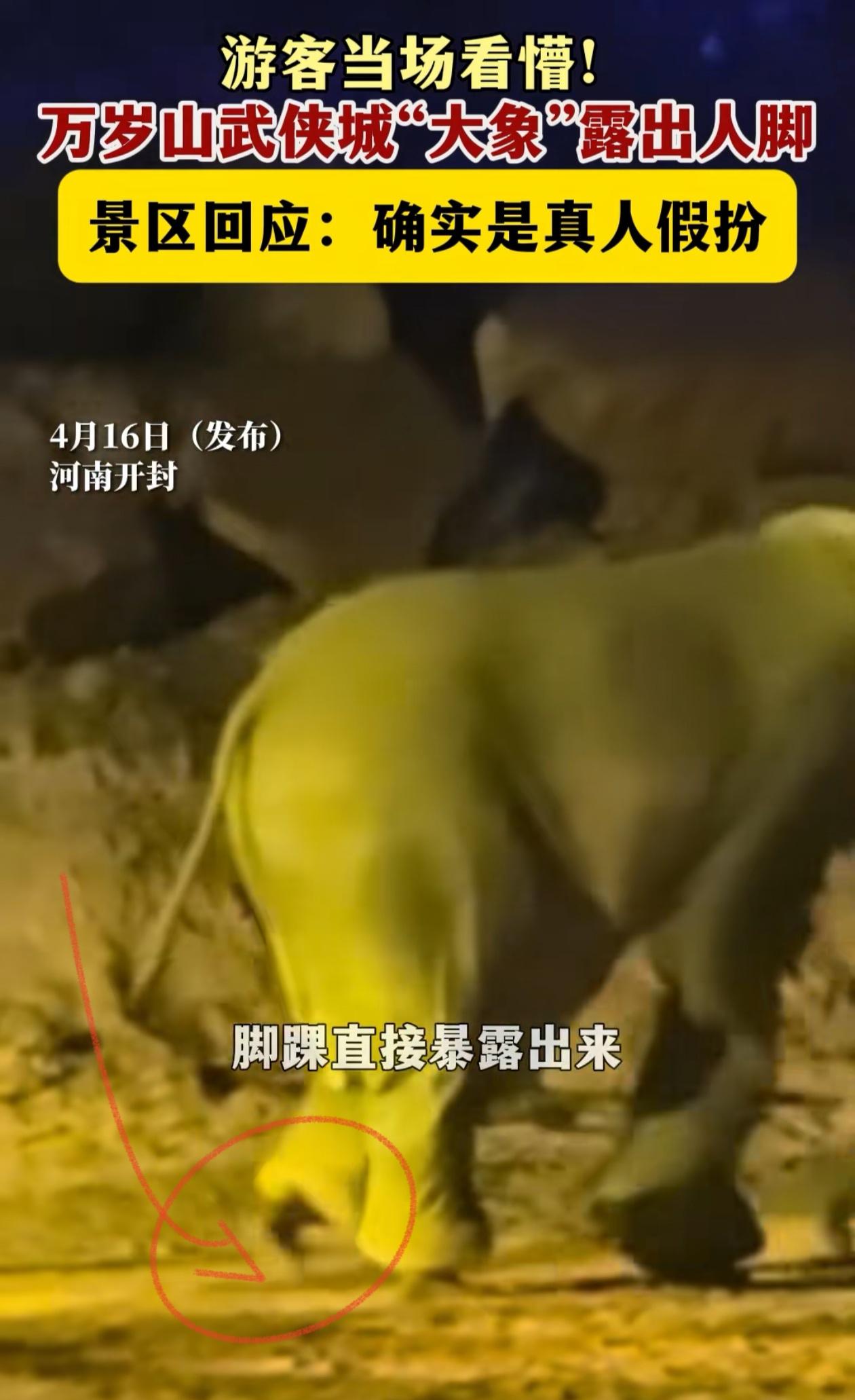 河南应该引进点真大象，毕竟河南的简称叫“豫”，说明河南以前是有大象的。既然和大象