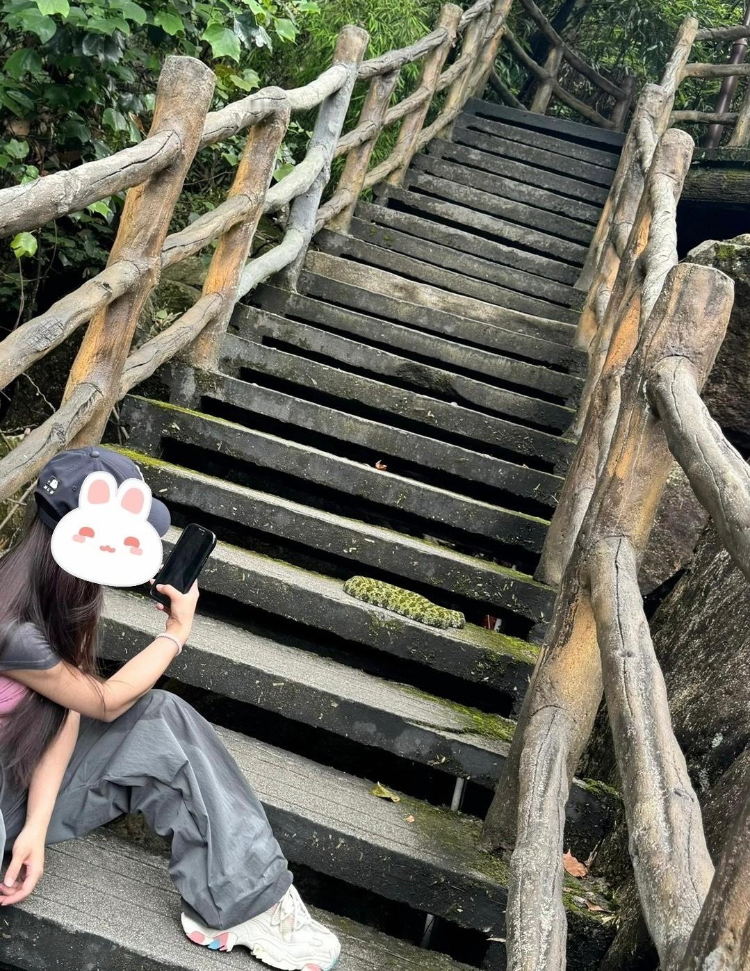 发了朋友圈才知道自己近距离接触的是毒蛇
