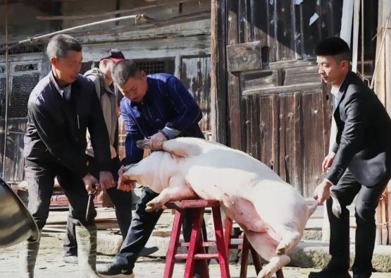 天塌了！云南砚山，48岁女子家庭困难，为了赚钱，她买了一头毛猪，宰了拉到村头卖肉