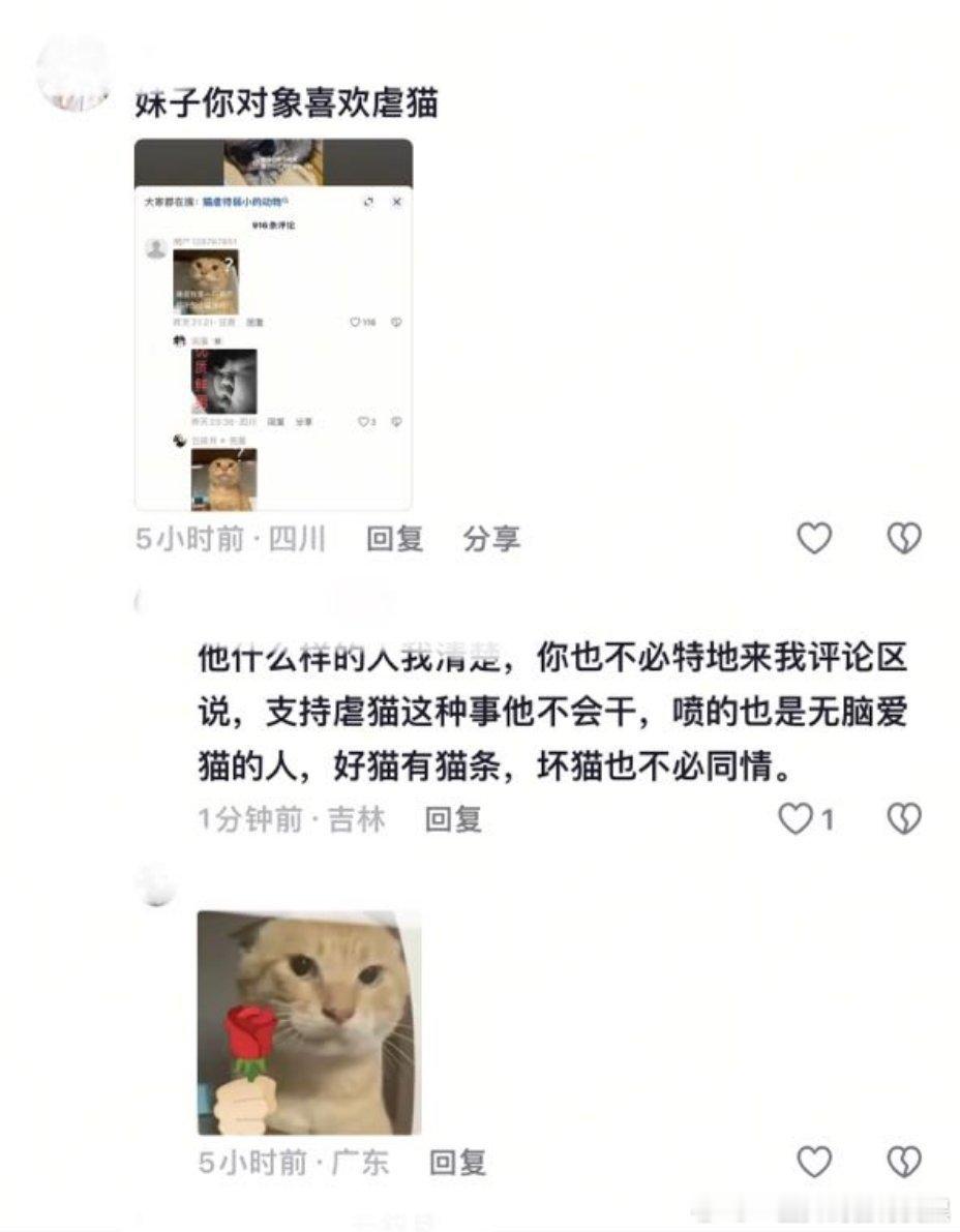 坏猫也不必同情那就活该被虐，如此般配的一对