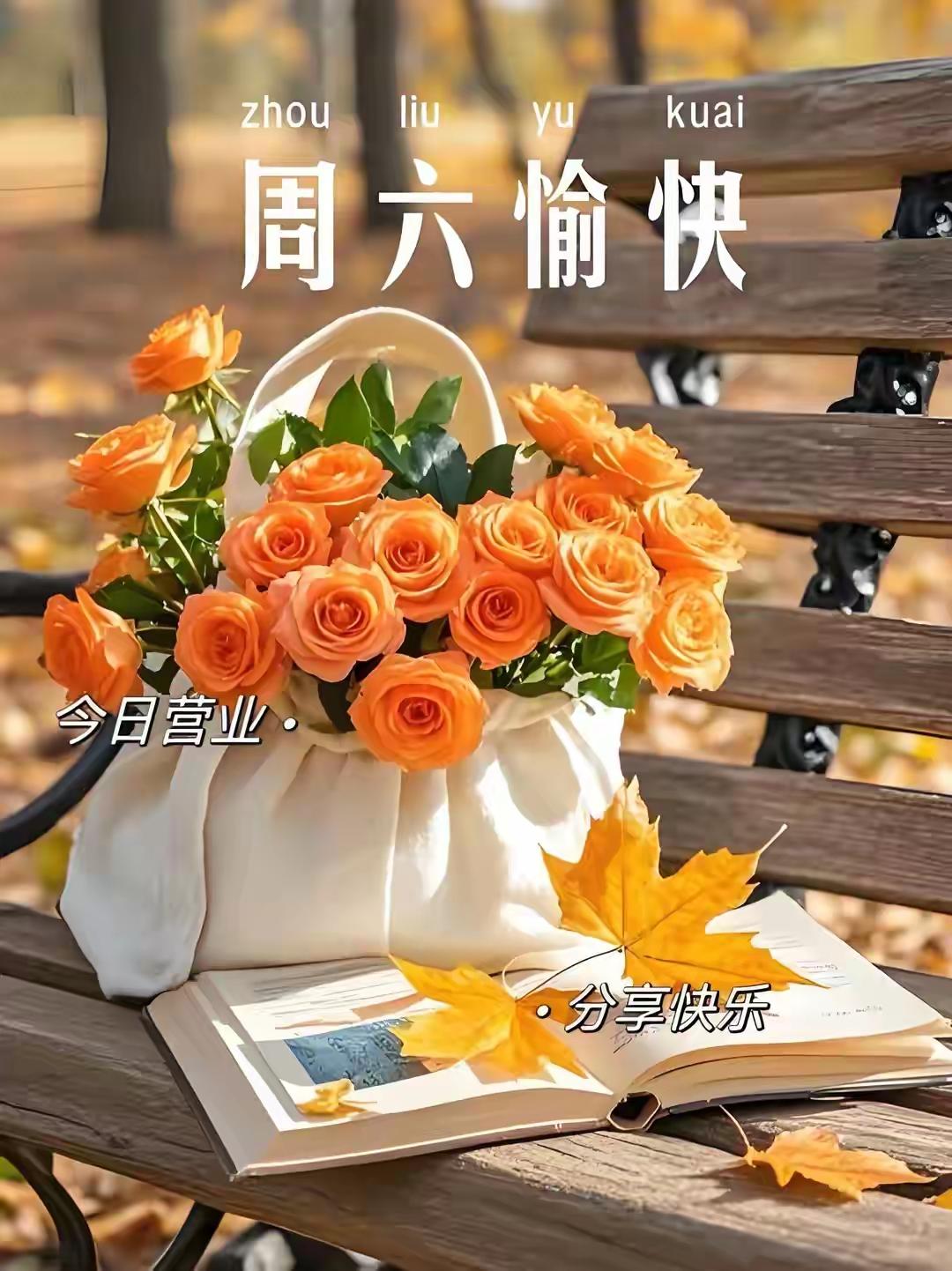 🌷早安🌷一抹朝阳，携来一天的晴朗；一句问候，承载真挚的念想；一份祝