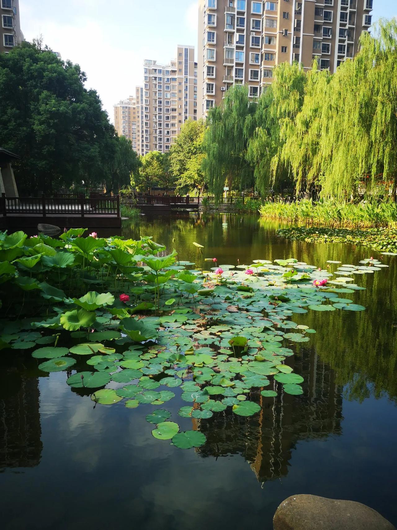 我一直以为，舌扺上颚~这个动作，需要特意的去练习，可我在站桩，或者打坐的时候