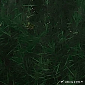遇到一个喜欢的人其实不难，多少爱情都开始于喜欢，结束于了解，后来明白，所谓合适的