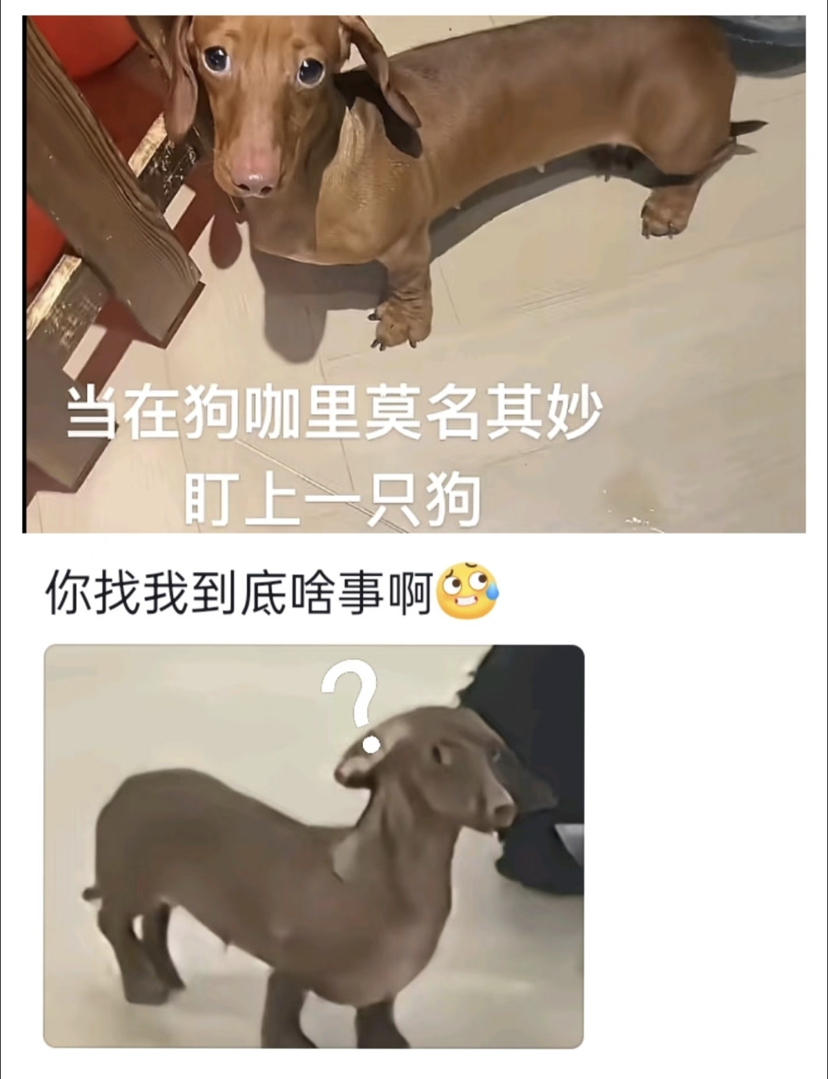 这怎么怪怪的