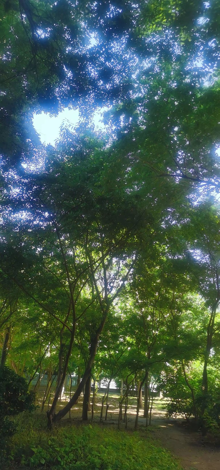 电动汽车充电的时候，到底能不能在车里待着呢？反正我一直都躺在车里睡觉的。有一次去